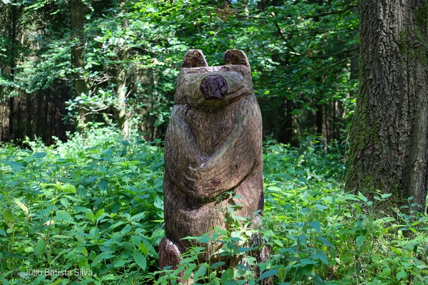 A carved wooden bear sculpture stands amidst lush green foliage in a sun-dappled forest.