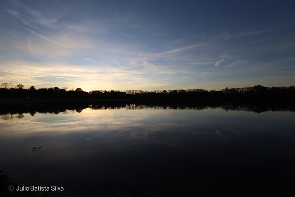 A serene sunset casts a golden reflection on a calm lake, with silhouetted trees along the horizon.