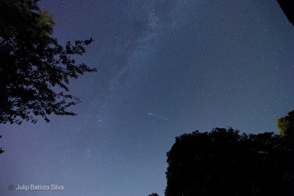 A long-exposure photograph captures a bright meteor streaking across a star-filled night sky, framed by the silhouettes of trees.