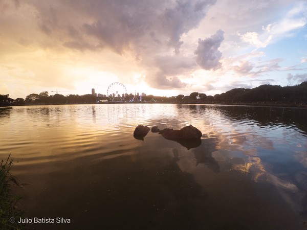 Two capybaras rest on rocks in a body of water, with a city skyline and a large Ferris wheel visible in the background during a dramatic sunset.